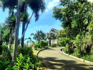 长滩岛Unit 306 Alta Vista de Boracay by David的一条棕榈树和一座建筑连成一条公路