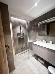 梅杰夫Les Chamois D’Arbois, Mont D’Arbois, Megève的带淋浴、卫生间和盥洗盆的浴室