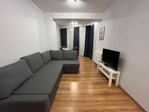 弗罗茨瓦夫Komfortowe apartamenty w centrum Wrocławia的客厅配有灰色的沙发和电视