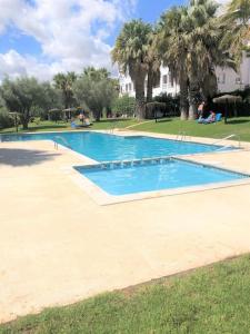 维拉科斯塔Beautiful 2 Bed Apartment on Villamartin Plaza的棕榈树公园里的一个空游泳池