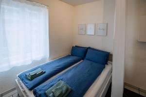 比尔Gemütliches Studio im Stadtzentrum的一间卧室配有一张带蓝色枕头的床和一扇窗户。