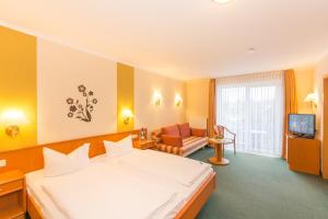 宾茨Villa Osada的酒店客房设有一张大床和一台电视。