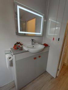 里辛Owl's Watch的白色的浴室设有水槽和镜子