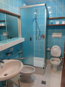 多比亚科loft panorama Tre cime Dobbiaco Cortina的浴室配有卫生间、盥洗盆和淋浴。