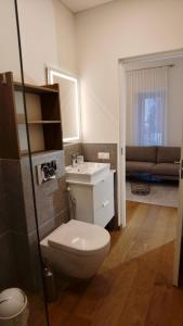 考纳斯Žalio kalno apartamentai的一间带卫生间、水槽和沙发的浴室