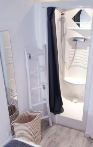 拉罗什波赛Bienvenue au 8 Bis的浴室设有玻璃门,通往带水槽的衣柜