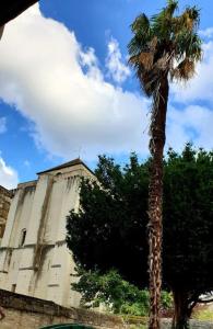 拉罗什波赛Bienvenue au 8 Bis的一座建筑前的棕榈树