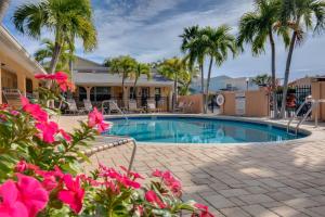 圣徒皮特海滩Walkable to Restaurants and Steps to the Beach! - Coconut Villa's Suite 10的一座种植了棕榈树和粉红色花卉的游泳池