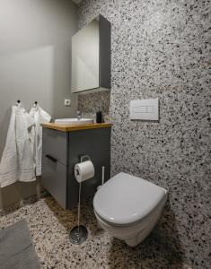 雷克雅未克Center Apartments - Esja的一间带卫生间和水槽的浴室