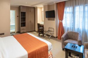 纳库鲁水羚酒店的酒店的客房 - 带一张床、椅子和电视