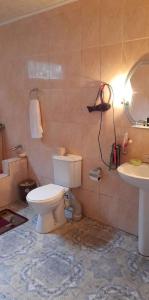 JvariGuest house Enguri的一间带卫生间和水槽的浴室