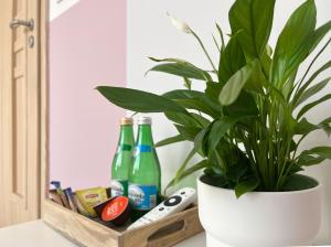 华沙Shape&Color premium Hostel的坐在镜子旁的柜台上的盆栽植物