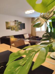 上陶恩Modern Mountain Apartment - free parking & sauna的带沙发和绿色植物的客厅