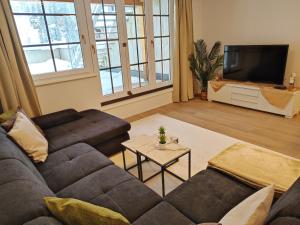 上陶恩Modern Mountain Apartment - free parking & sauna的带沙发和电视的客厅