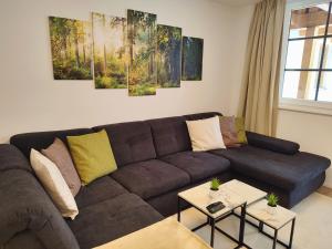 上陶恩Modern Mountain Apartment - free parking & sauna的客厅配有棕色的沙发和墙上的绘画