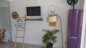 帕皮提Studio Vaimiti pour 2 personnes vue mer et Moorea的一间配有电视的房间,一个梯子和一个植物
