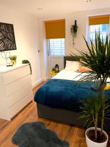 珀利Smart/ Modern one bedroom flat的一间卧室配有床、梳妆台和植物