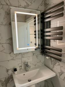 珀利Smart/ Modern one bedroom flat的一间带水槽和镜子的浴室