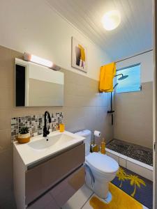 勒拉芒坦Appartement Manou的浴室配有白色卫生间和盥洗盆。