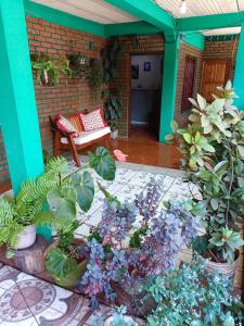伊瓜苏港Hostel el Amanecer的种有植物和长凳的庭院