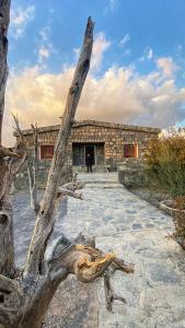 Al HūbJabal Shams Mountain Rest House的石头建筑前的死树