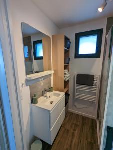 欧丹冈La Rogeraie Cap gris nez的一间带水槽和镜子的小浴室