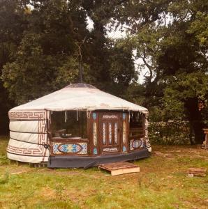 LlanbrynmairMongolian yurt sleeping 2+2 with outdoor space的坐在草地上的蒙古包
