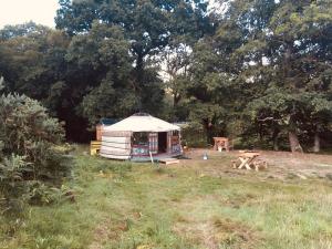 LlanbrynmairMongolian yurt sleeping 2+2 with outdoor space的树丛中的一个蒙古包