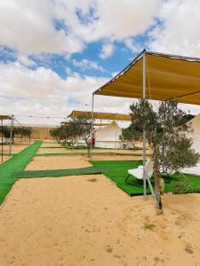 Be'er Milkaנירוונה במדבר的一排带绿色草坪和树木的帐篷