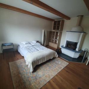 蒂罗尔州奥伯恩多夫莱纳度假屋酒店的一间卧室配有一张床和一个壁炉