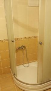 科贾埃利Grand ala otel konukevi的浴室内带软管的淋浴