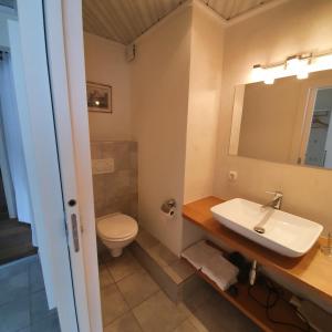 蒂罗尔州奥伯恩多夫莱纳度假屋酒店的一间带水槽和卫生间的浴室