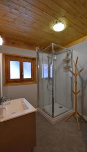 弗米盖赫Chalet de montagne的带淋浴和盥洗盆的浴室