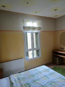 卡斯托里亚Room "honeybee" in a neoclassical house的一间卧室设有一张床和一个窗口