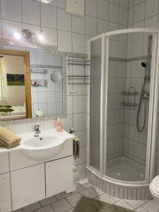 莱布尼茨Weingut Pugl的一间带水槽和淋浴的浴室