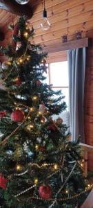 马尔梅迪Le Numéro 12 - Chalet à Francorchamps的房间里的圣诞树上灯