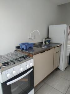 皮涅拉Loft/APTO em Praia da Pinheira的厨房配有炉灶、水槽和冰箱。