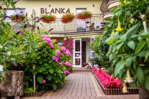 罗威Blanka的花店在建筑前有鲜花的花店