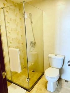 基加利Century Park Hotel & Residences的一间带卫生间和玻璃淋浴间的浴室