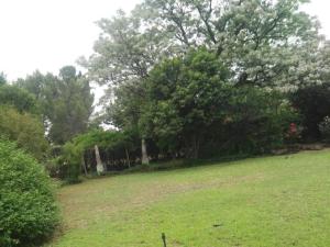 EdenburgGreen gables的一片草场,有树木和栅栏