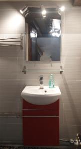 巴黎HAUSSMANN ESPACE的一间带水槽和镜子的浴室