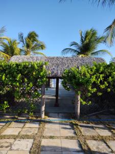 瓜斯贝拉什A Toca do Bem-Te-Vi的拥有茅草屋顶和棕榈树的度假酒店