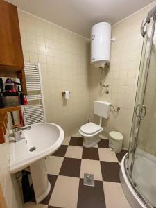 弗拉西克Apartment Love的一间带水槽、卫生间和淋浴的浴室