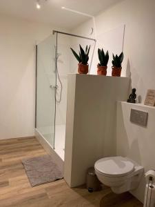 让布卢Lodge Vent d’Ouest的带淋浴、卫生间和盆栽植物的浴室