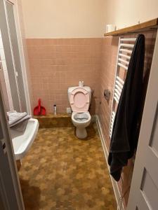 瓦约纳克斯T2 meuble的一间带粉红色卫生间和盥洗盆的浴室