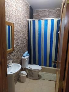 克鲁奇塔Departamento Crucita的浴室配有卫生间、盥洗盆和淋浴。