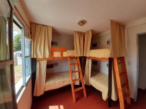 埃尔卡拉法特Hostel House 64Bigüa的带窗户的客房内的两张双层床