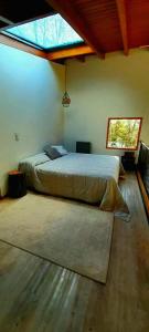 托尔胡因Zorro Azul - Corazón de la Isla - Tierra del Fuego的一间卧室设有一张大床和一个窗户。