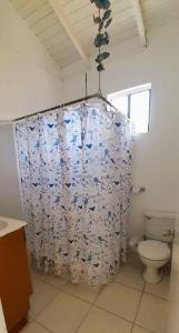 Port ElizabethStarFish Apartment的一间带卫生间和淋浴帘的浴室