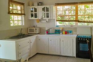 Port ElizabethStarFish Apartment的白色的厨房配有炉灶和微波炉。